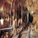 Castellana Grotte (BA)